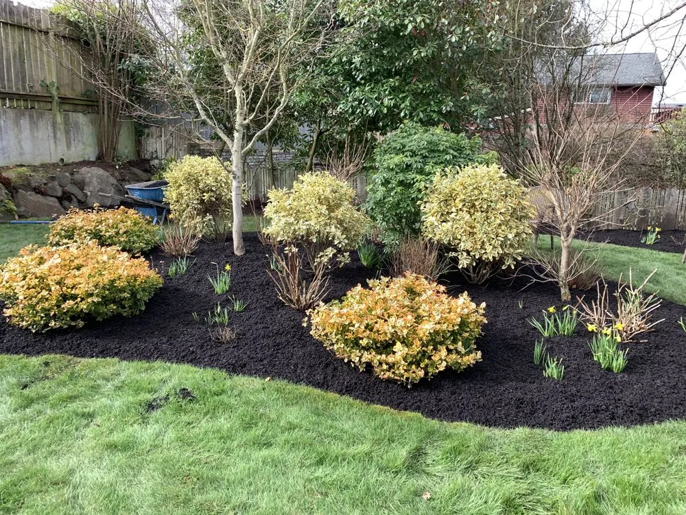 Trusted yard cleanup service experts serving Lynnwood, WA - Rodriguez Landscaping & Maintenance