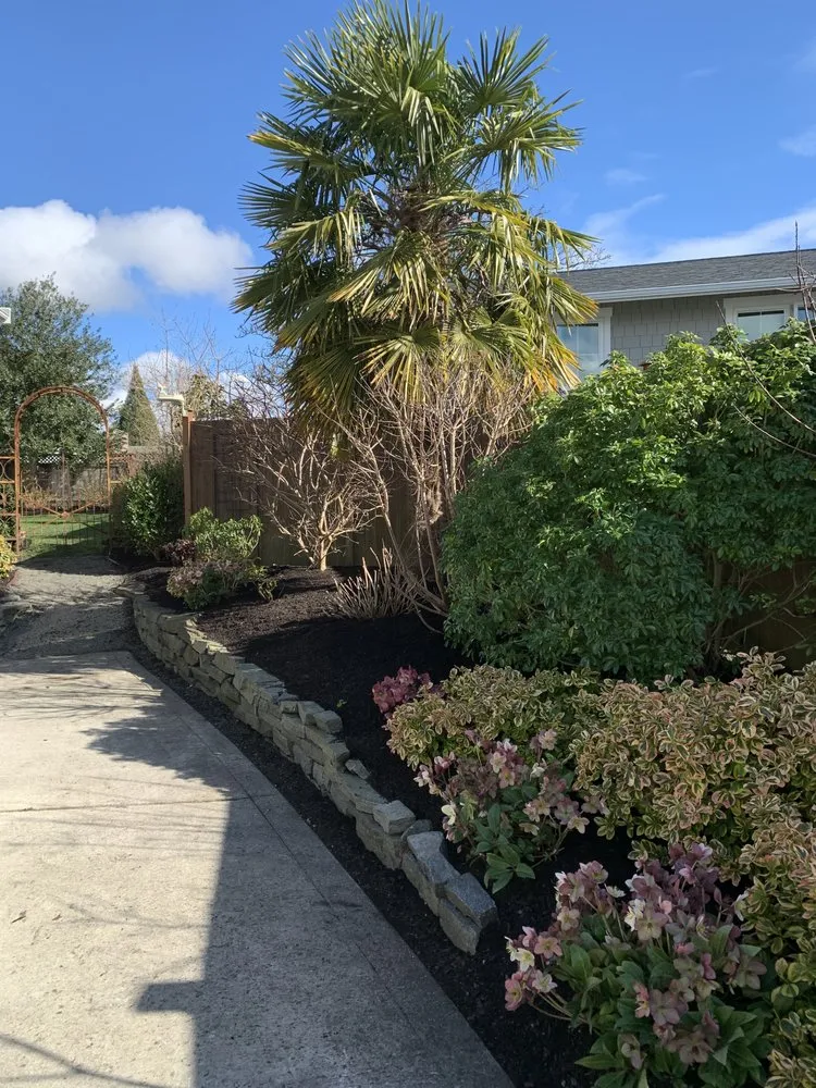 Affordable landscape installation experts serving Lynnwood, WA - Rodriguez Landscaping & Maintenance