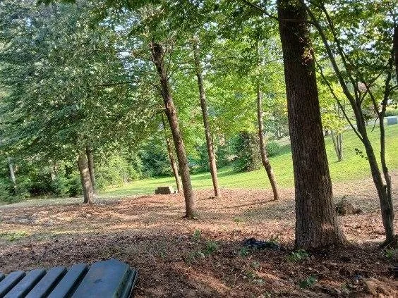 Trusted lawn mowing service in Fredericksburg, VA by Rodriguez Landscaping  & More