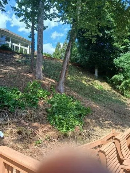 Custom lawn mowing service in Fredericksburg, VA - Rodriguez Landscaping  & More