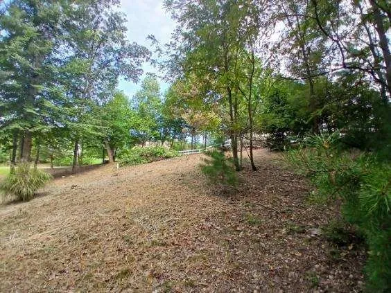 Expert lawn care service in Fredericksburg, VA - Rodriguez Landscaping  & More