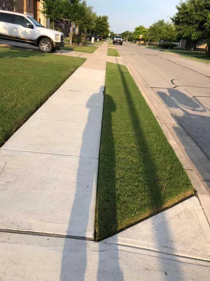 Professional landscaping services for residential properties across Georgetown, TX - Rodriguez Landscaping & Tree Service