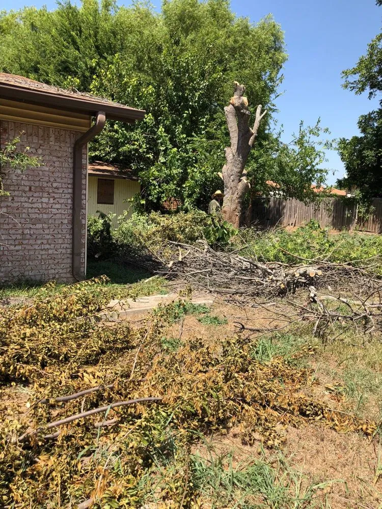 Local lawn mowing service in Georgetown, TX by Rodriguez Landscaping & Tree Service