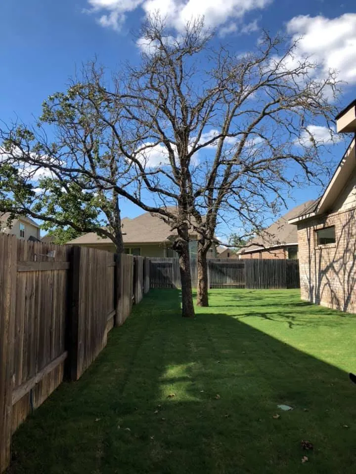Affordable lawn mowing service experts serving Georgetown, TX - Rodriguez Landscaping & Tree Service