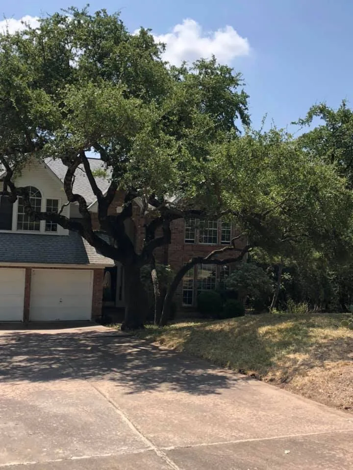 Custom lawn care service in Georgetown, TX - Rodriguez Landscaping & Tree Service