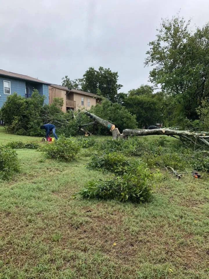 Local garden landscaping in Georgetown, TX by Rodriguez Landscaping & Tree Service
