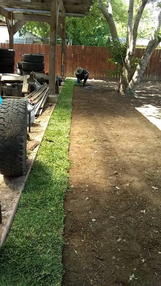 Reliable landscaping services in Georgetown, TX by Rodriguez Landscaping & Tree Service