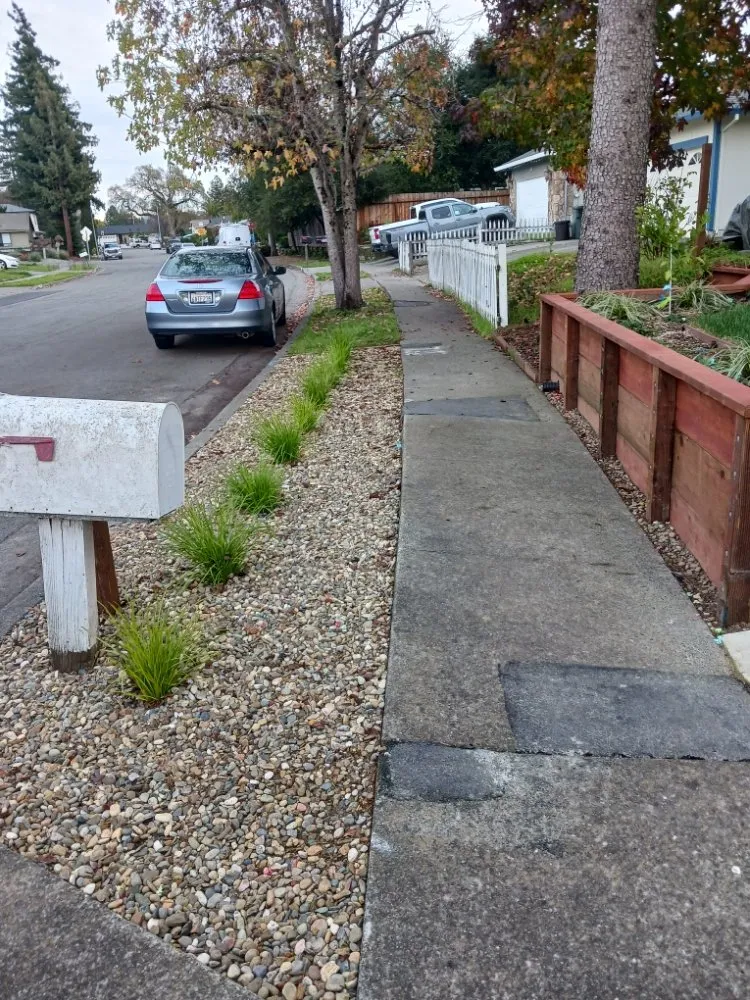 Top-rated landscape design in Santa Rosa, CA - Rodriguez Landscaping and Maintenance