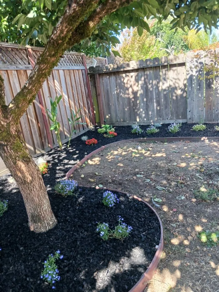 Expert landscaping services in Santa Rosa, CA by Rodriguez Landscaping and Maintenance