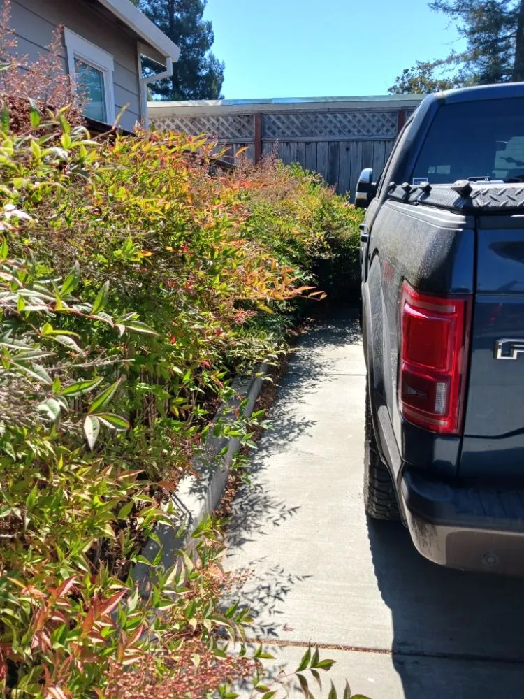 Trusted landscape installation experts serving Santa Rosa, CA - Rodriguez Landscaping and Maintenance