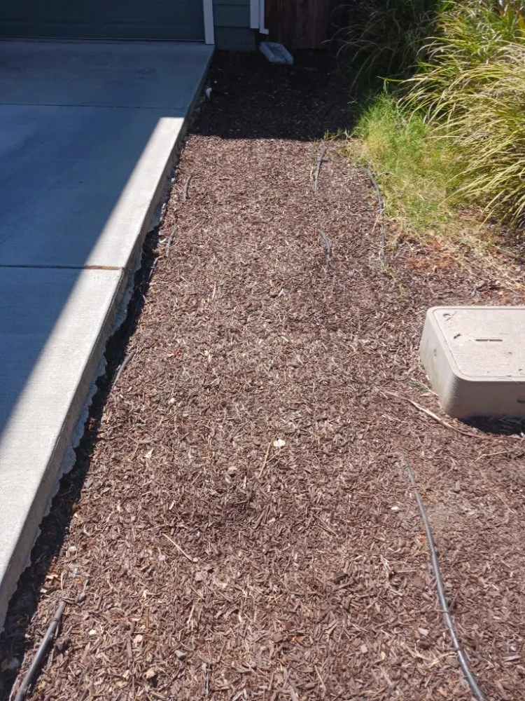 Professional lawn mowing service in Santa Rosa, CA by Rodriguez Landscaping and Maintenance