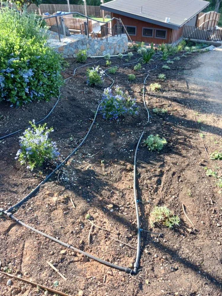 Custom landscape installation in Santa Rosa, CA by Rodriguez Landscaping and Maintenance