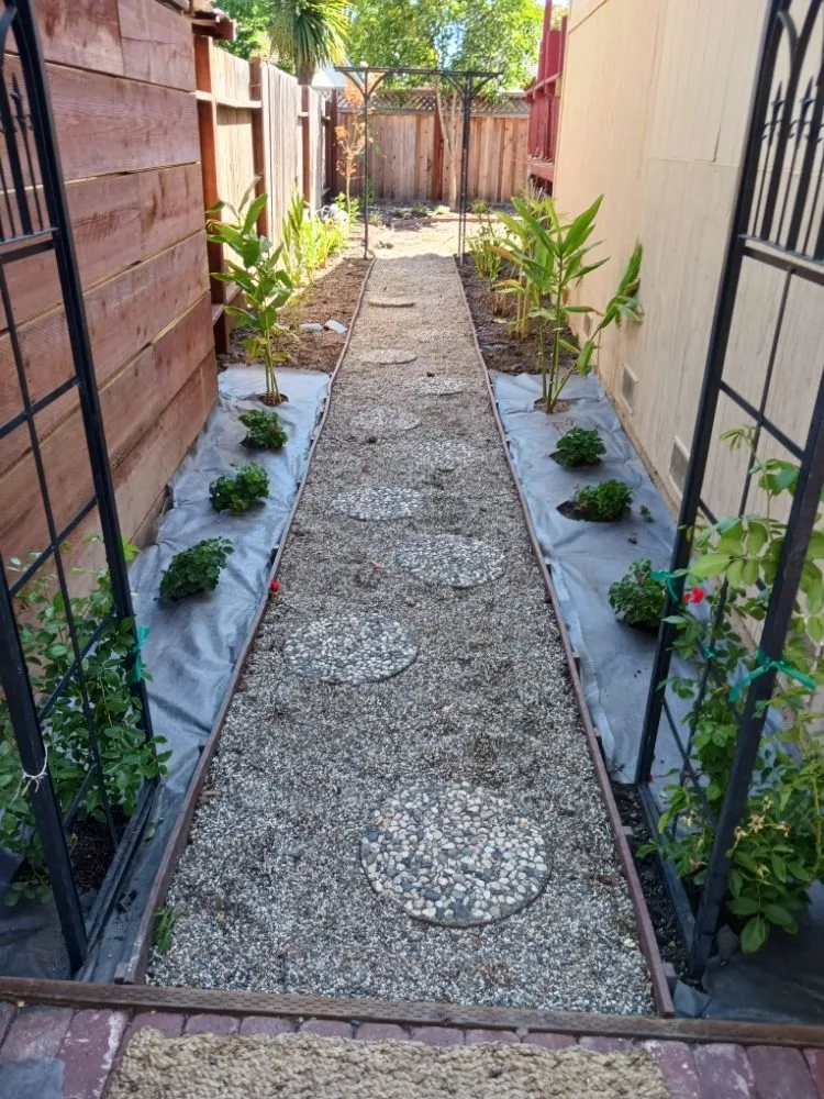 Reliable landscape installation for year-round maintenance in Santa Rosa, CA by Rodriguez Landscaping and Maintenance