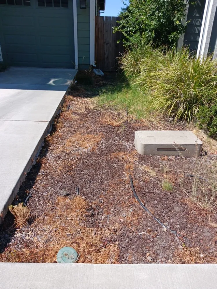 Local outdoor landscaping in Santa Rosa, CA by Rodriguez Landscaping and Maintenance