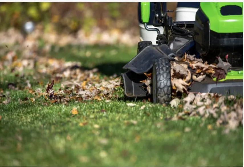 Affordable lawn care service for year-round maintenance in Shannon, NC by Rodriguez Landscaping and Pressure Washing