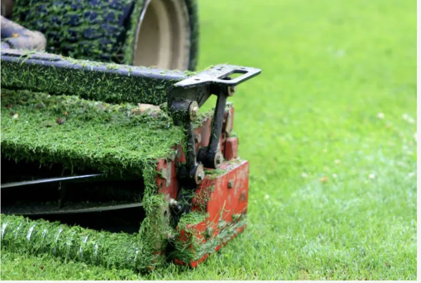 Local landscaping services for homes across Shannon, NC - Rodriguez Landscaping and Pressure Washing