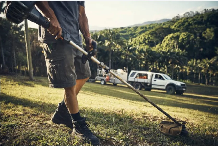 Top-rated yard cleanup service experts serving Shannon, NC - Rodriguez Landscaping and Pressure Washing