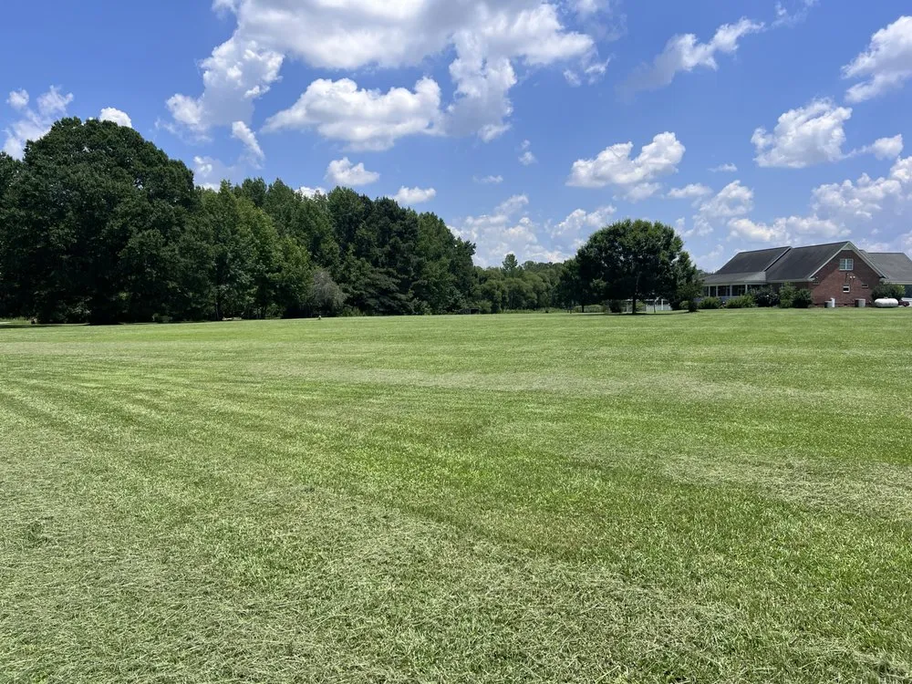 Top-rated yard cleanup service in Wilson, NC - Rodriguez Landscaping and Services