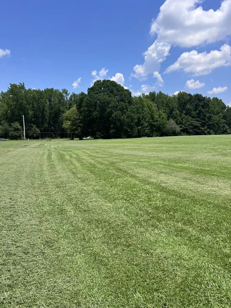 Reliable residential landscaping experts serving Wilson, NC - Rodriguez Landscaping and Services