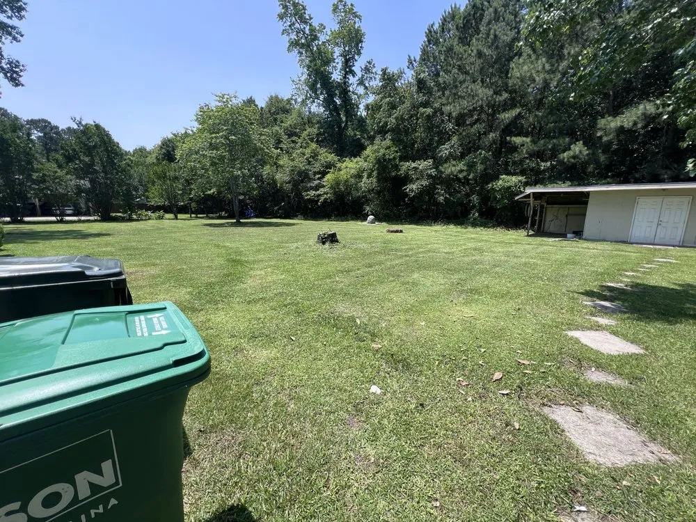 Reliable residential landscaping for residential properties in Wilson, NC by Rodriguez Landscaping and Services