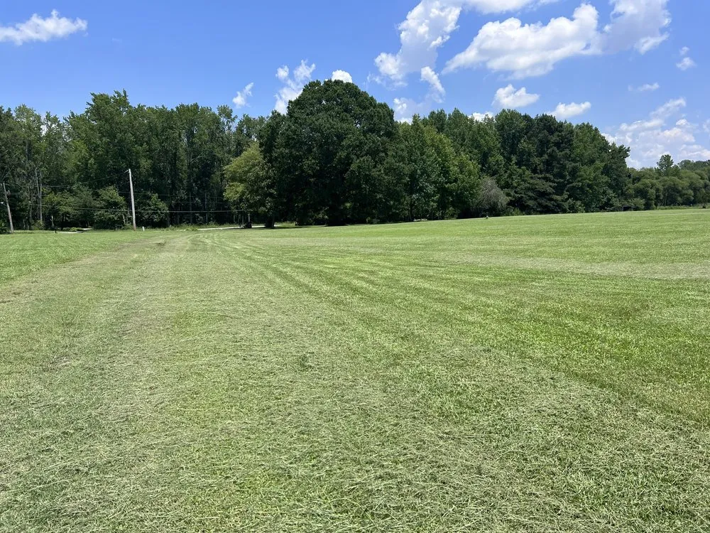 Affordable lawn care service in Wilson, NC by Rodriguez Landscaping and Services