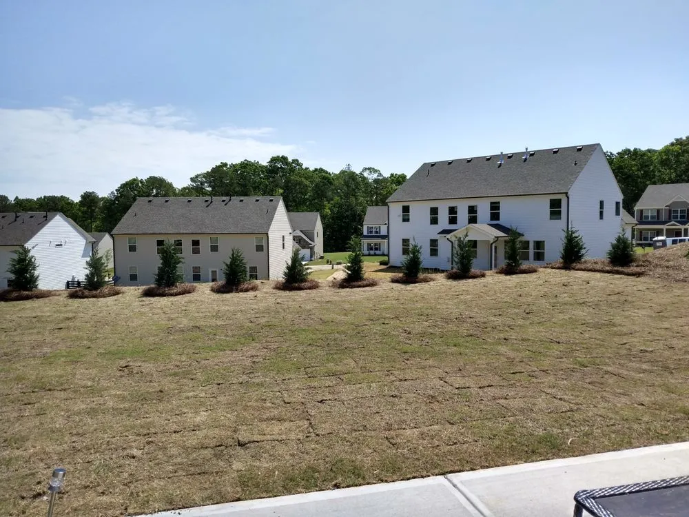 Custom lawn mowing service experts serving Carrollton, GA - Rodriguez Landscaping and Tree Work