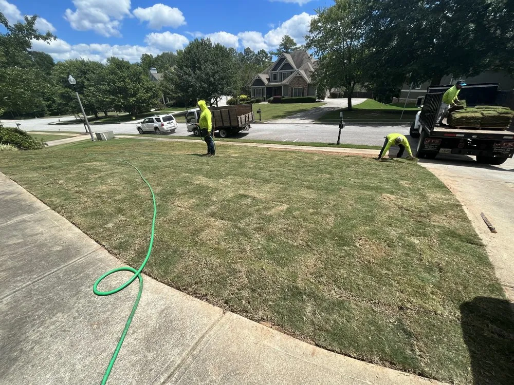 Expert yard cleanup service in Carrollton, GA by Rodriguez Landscaping and Tree Work