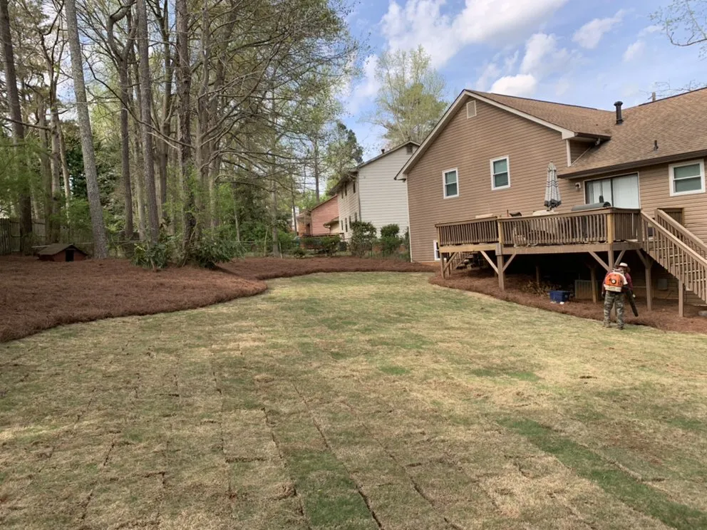 Local lawn care service in Carrollton, GA by Rodriguez Landscaping and Tree Work