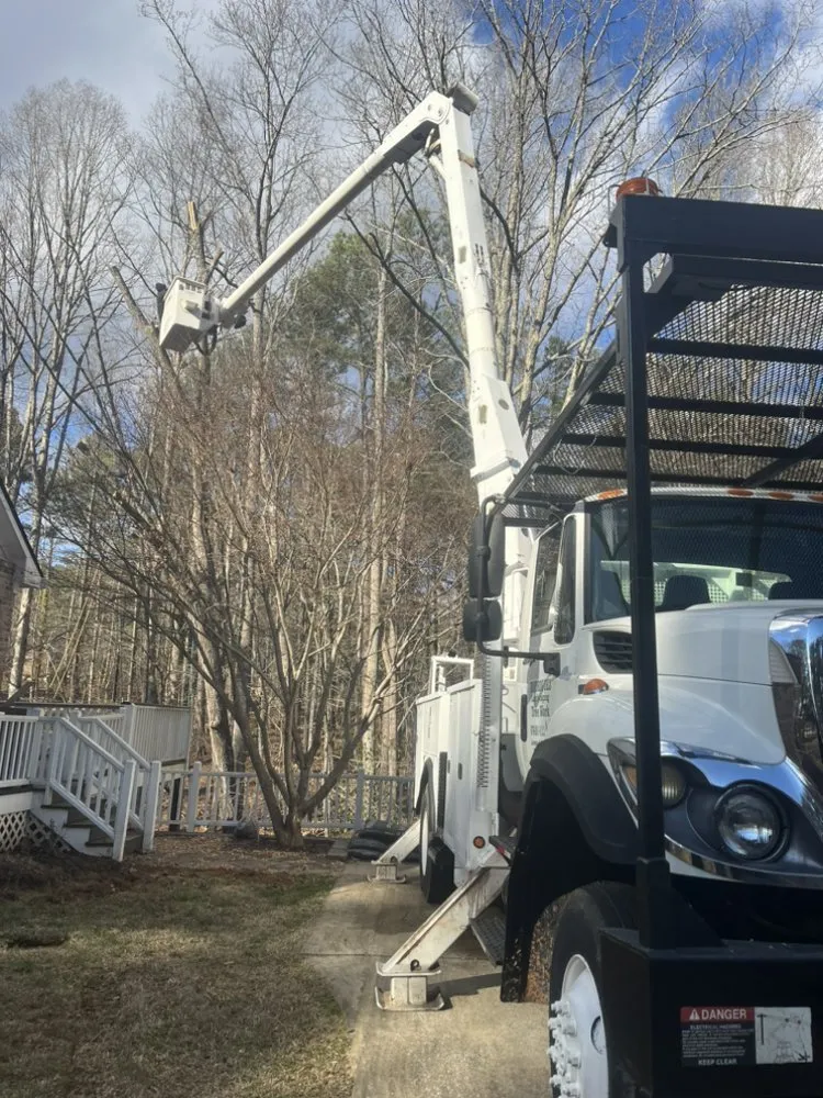 Reliable outdoor landscaping in Carrollton, GA by Rodriguez Landscaping and Tree Work