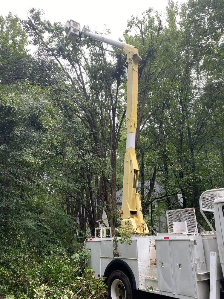 Local residential landscaping near you across Carrollton, GA - Rodriguez Landscaping and Tree Work