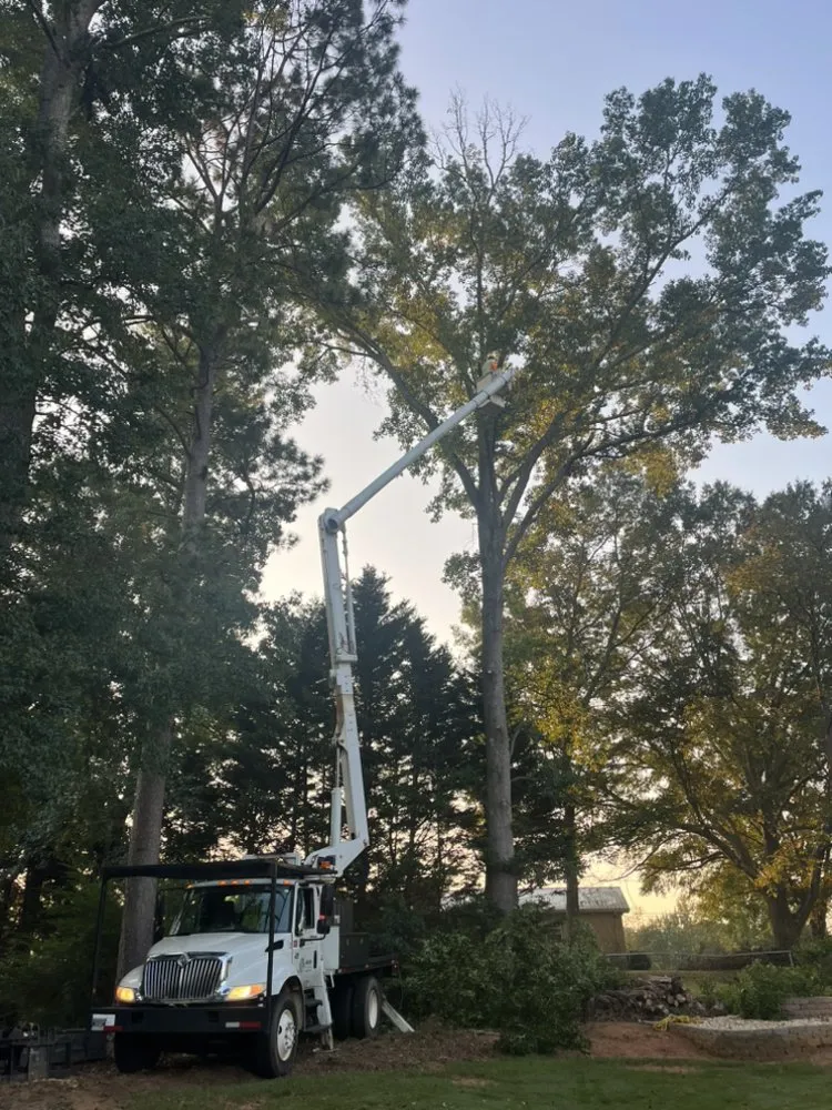 Custom landscape design with custom design in Carrollton, GA by Rodriguez Landscaping and Tree Work