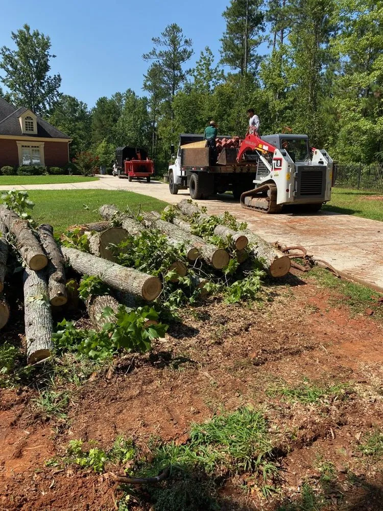 Reliable lawn care service in Carrollton, GA - Rodriguez Landscaping and Tree Work