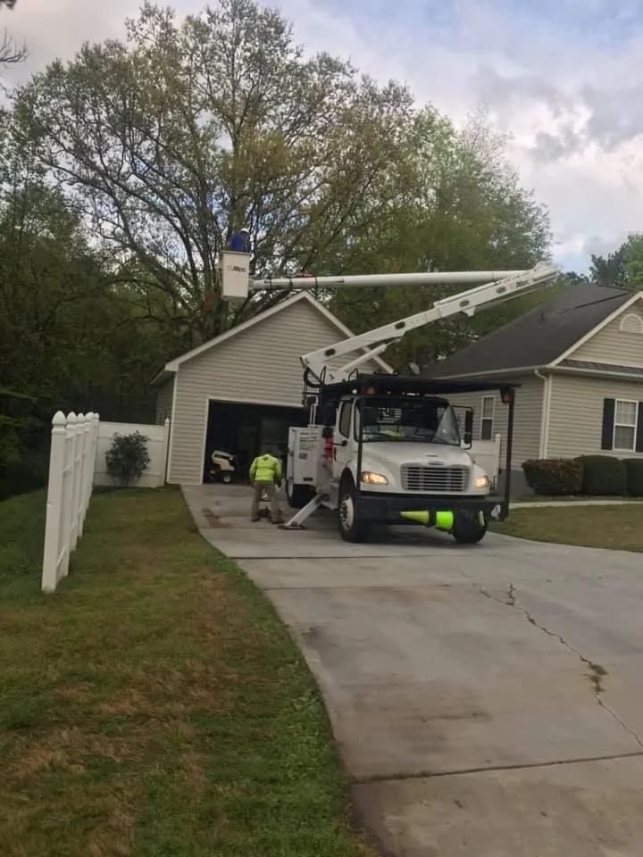 Affordable lawn care service for residential properties across Carrollton, GA - Rodriguez Landscaping and Tree Work