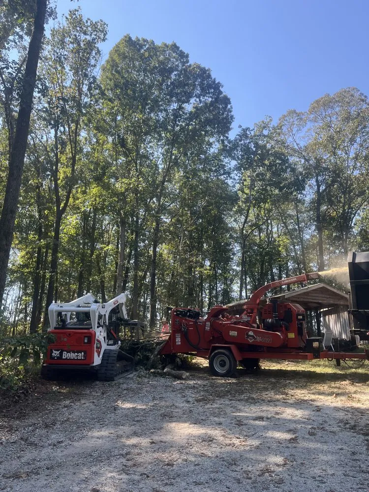 Professional landscaping services near you across Carrollton, GA - Rodriguez Landscaping and Tree Work