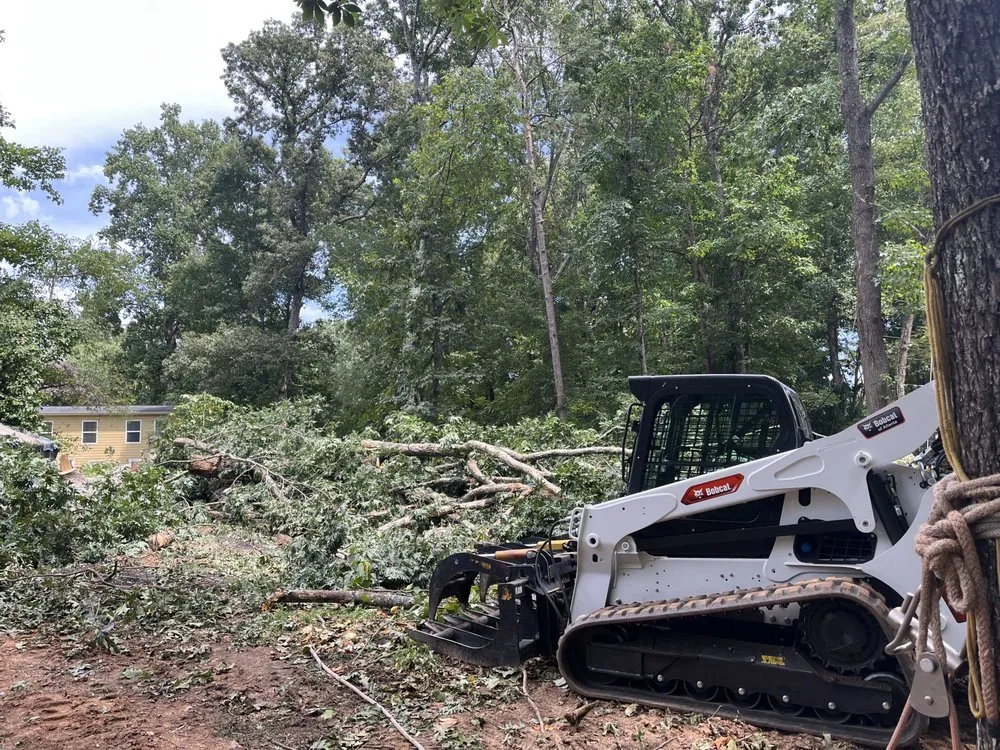 Affordable landscaping services experts serving Carrollton, GA - Rodriguez Landscaping and Tree Work