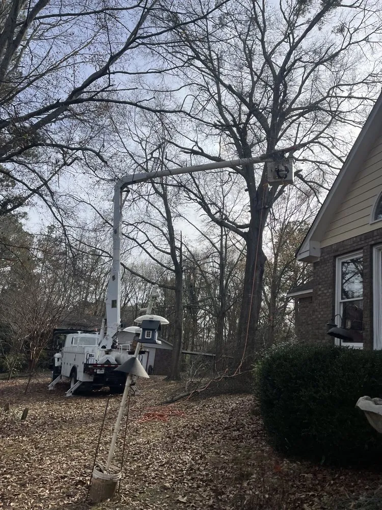Custom landscape installation for beautiful yards in Carrollton, GA by Rodriguez Landscaping and Tree Work