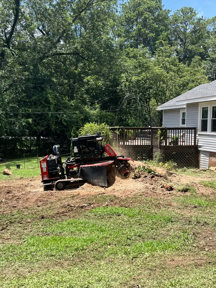 Professional landscaping services for year-round maintenance in Carrollton, GA by Rodriguez Landscaping and Tree Work