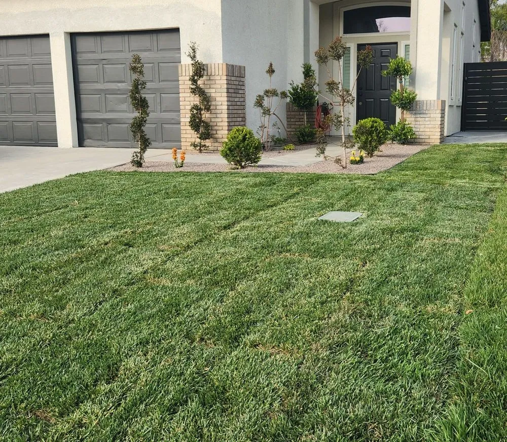 Top-rated lawn mowing service experts serving Bloomington, CA - Rodriguez Landscaping