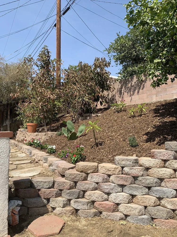 Local yard maintenance experts serving Bloomington, CA - Rodriguez Landscaping
