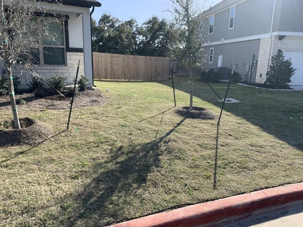 Trusted lawn care service in Georgetown, TX - Rodriguez Landscaping