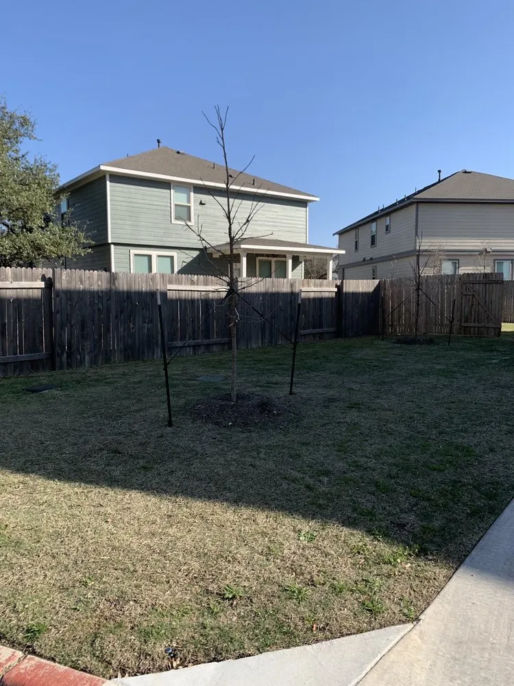 Trusted yard cleanup service for outdoor upgrades in Georgetown, TX by Rodriguez Landscaping