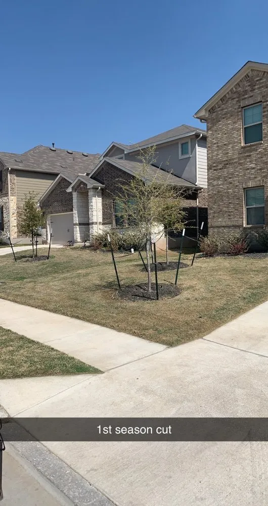 Professional yard cleanup service in Georgetown, TX - Rodriguez Landscaping