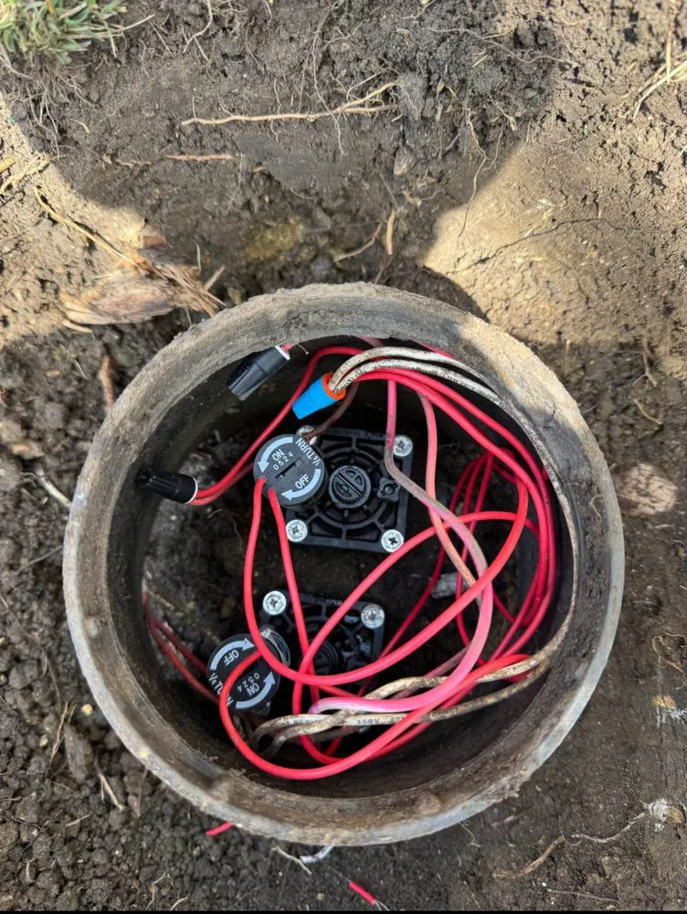 Trusted lawn care service in Frisco, TX by Rodriguez Landscaping Irrigation