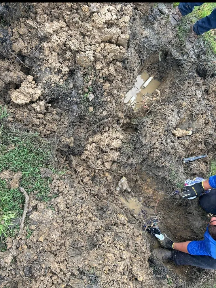 Reliable yard maintenance for residential properties across Frisco, TX - Rodriguez Landscaping Irrigation