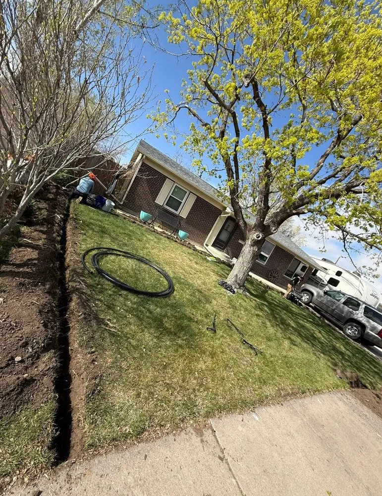 Expert yard maintenance for year-round maintenance across Frisco, TX - Rodriguez Landscaping Irrigation