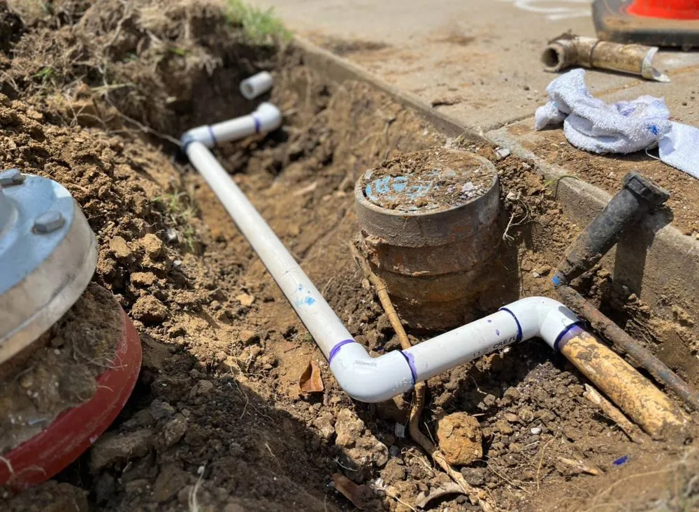 Affordable landscaping services in Frisco, TX by Rodriguez Landscaping Irrigation