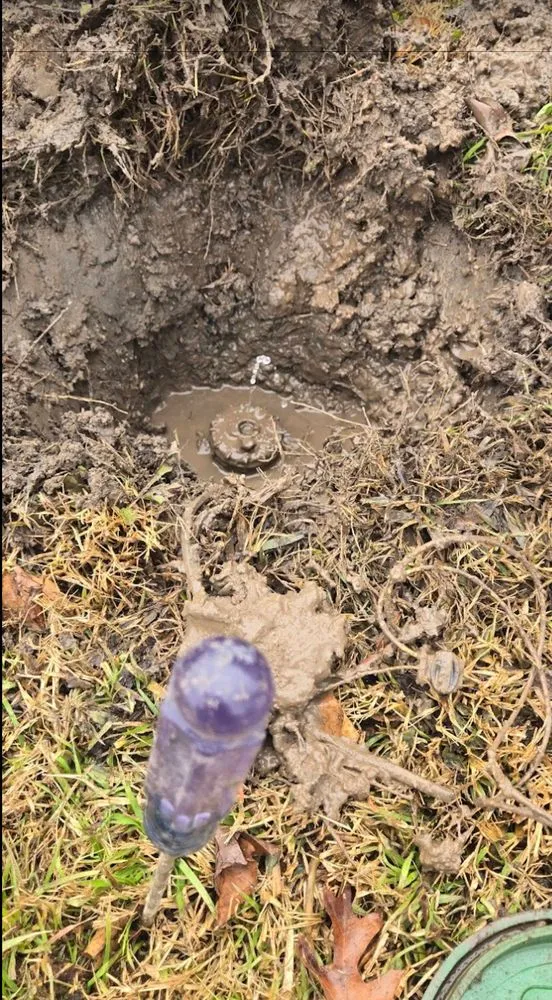 Local garden landscaping for year-round maintenance in Frisco, TX by Rodriguez Landscaping Irrigation