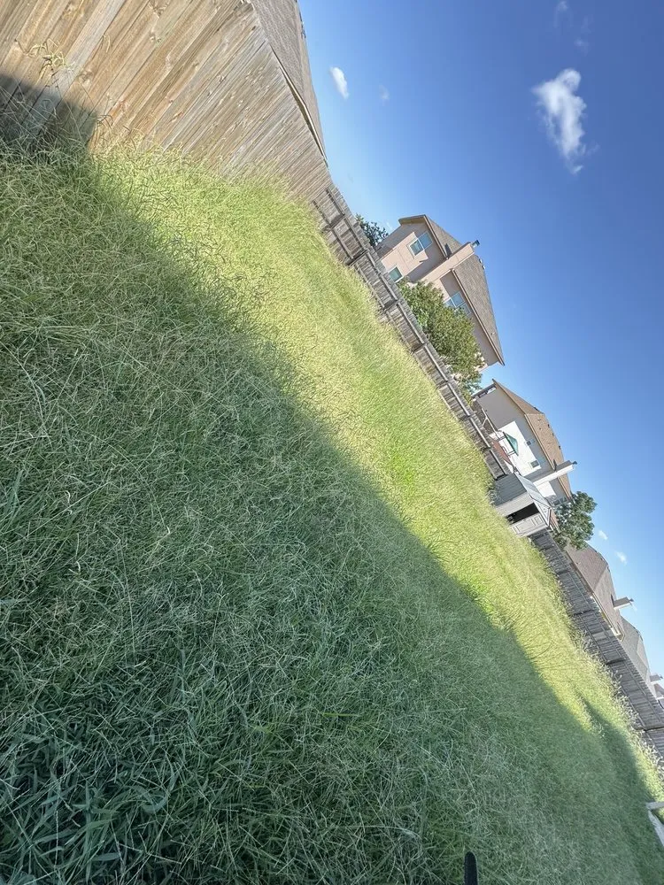 Trusted lawn mowing service with custom design in Killeen, TX by Rodriguez Landscaping