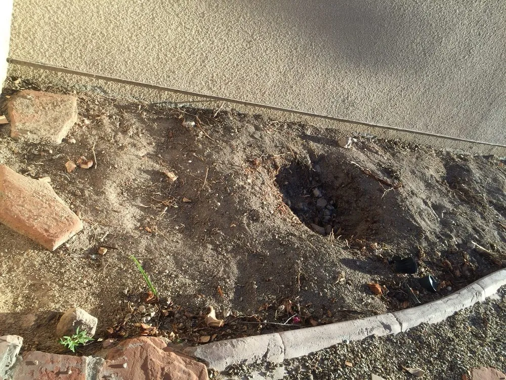 Custom landscape installation in North Las Vegas, NV by Rodriguez Landscaping Lawn Service