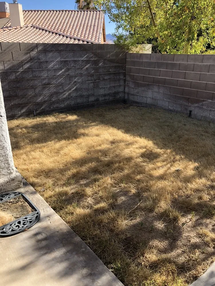 Trusted lawn care service in North Las Vegas, NV - Rodriguez Landscaping Lawn Service